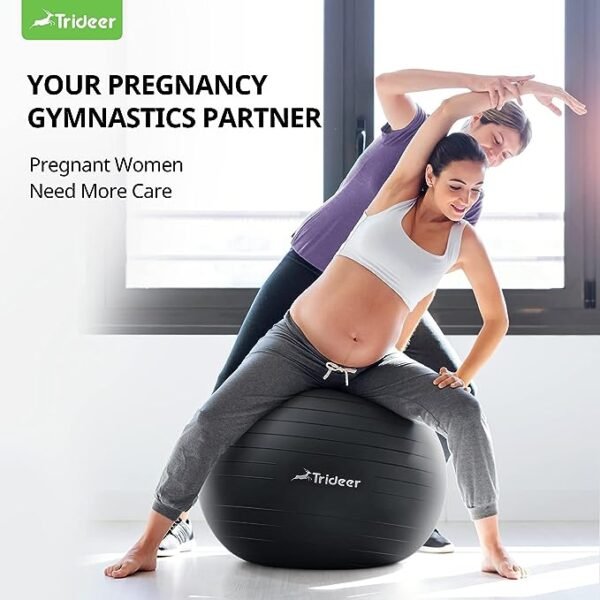 Trideer Fitness Gym Exercise Heavy Thick Yoga Non-Slip Ball Set (65 cm) - Image 3
