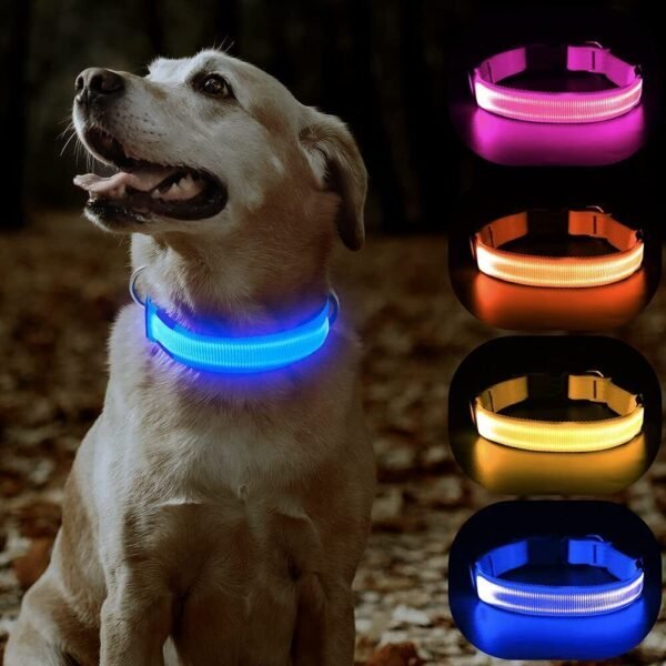 Safe Pet - Best High Visible Collar for your Dog