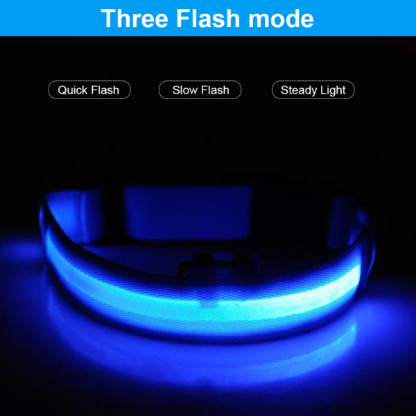 Safe Pet - Best High Visible Collar for your Dog - Image 3